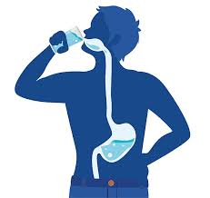 Image result for drink water clipart