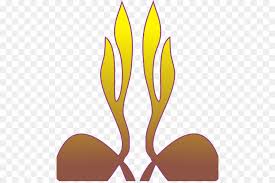In addition, all trademarks and usage rights belong to the related institution. Download 66 Koleksi Background Pramuka Gratis Download Background