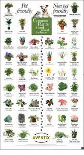 Pin On Garden