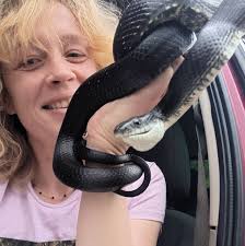 How do you stop getting constant nightmares? Zombies have been killing me  in my dreams for weeks & i don't want to sleep anymore