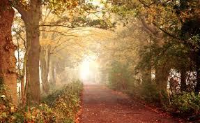 Follow the vibe and change your wallpaper every day! Full Screen Wallpaper Collection Pixelstalk Net