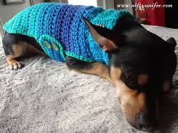 Deshalb ist er auch ruck zuck genäht und eignet sich besonders für. Niftynnifer S Crochet Crafts Free Crochet Pattern Chihuahua Sweater