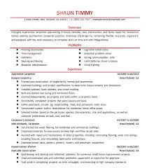 carpenter resume sample 3 | Handplane Goodness