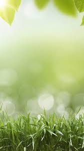 Wallpaper Beautiful Spring Android Best Android Wallpapers Backgrounds Phone Wallpapers Wallpaper Powerpoint Android Wallpaper