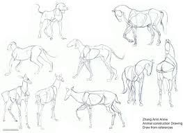 Knowhow von über 200 aktiven bergsportlern. 25 Beautiful Animal Drawings For Your Inspiration How To Draw Animals