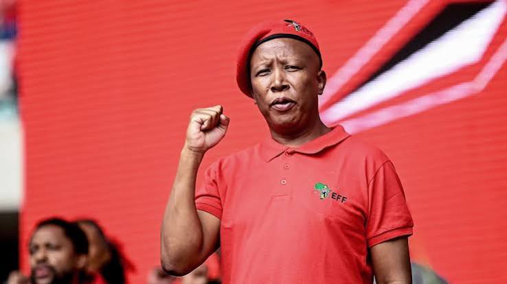 Is Julius Malema the most dangerous man in South Africa?