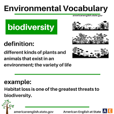 Environmental Vocabulary Biodiversity Learn English Words Vocabulary English Grammar Book Pdf