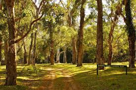 Hi everyone, today i came to a new place, there are streams, cool rocks. Camping In The Sandstone Wonders Explore The Highways Of Regional Australia