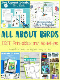 All About Birds Free Printables And Activities Homeschool Giveaways Free Preschool Printables Animal Learning Free Worksheets For Kids