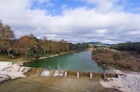 Download birds of lost maples state natural area: Summer For Procrastinators Lost Maples State Natural Area Texas Highways