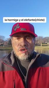 Chiste Del Elefante Y El Preso