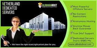Netherland Dedicated Servers Most Powerful Offshore Servers No Content Restrictions Anonymous Hosting Anytime Money Back Gu Hosting Offshore Dedication