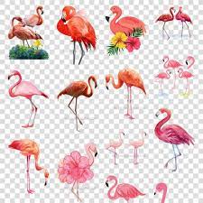 卡通火烈鸟图片设计png免抠素材感恩节cartoon flamingo picture design png free material thanksgiving hd images image png