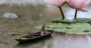 Image May Contain Plant Flower Outdoor Nature And Water Resimler Soyut Resim Tuval 3d Sanat