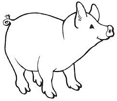 Cute cat 11 coloring pages. Pig Coloring Pages 2019 Educative Printable