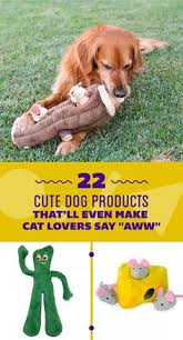 She loves attention, belly rubs, and treats. 330 Pawsome Projects Ideas Diy Stuffed Animals Diy Dog Stuff Pawsome