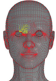 Optimizing UI Layouts for Deformable Face-Rig Manipulation