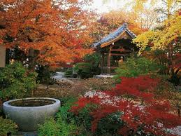 In the summer there are a lot of dragonflies flying around. Japanischen Garten Anlegen Wichtige Elemente Der Gartengestaltung