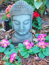 How can I best keep my primrose alive?