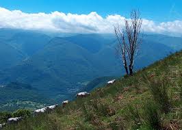 Tab over to hour by hour for an hourly les monts d'olmes weather forecast breakdown or to long range weather forecast for a detailed les monts d'olmes. Randonnees A Decouvrir En Pays D Olmes Ariege Pyrenees