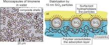 Encapsulation of fragrances and oils by core-shell structures ...