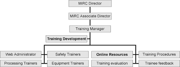 Training Organization Chart Download Scientific Diagram