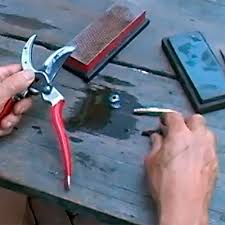 To spruce up pruning shears , place them on a flat surface and slide the honing stone across the blade until you reach your desired level of sharpness. How To Sharpen Pruners Finegardening