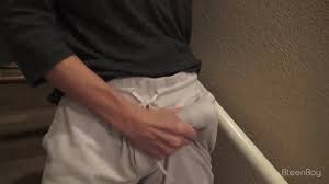 Vixen Gorgeous Tiny Natural Babe Sky Wonderland in First Vixen Appearance