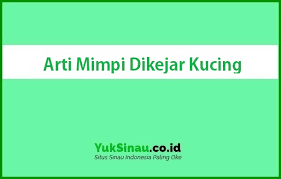Ini adalah cara paling tersembunyi untuk bergerak dengan menyembunyikan warna kamu sendiri. 11 Arti Mimpi Dikejar Kucing Menurut Islam Dan Primbon