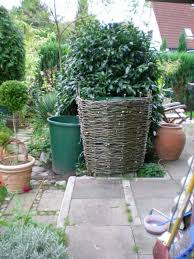 Pin By Cindy Verhoef On Tuin Plants Planter Pots Planters