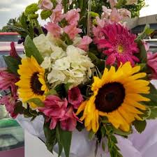 Raleigh (zip 27607) property crime is 40.4. North Raleigh Florist 31 Photos 25 Reviews Florists 7457 Six Forks Rd Raleigh Nc Phone Number Yelp