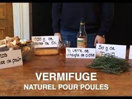 Vermifuge Naturel Pour Poule Youtube En 2020 Vermifuge Naturel Alimentation Poule Vermifuge