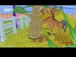 Penguin, sgt.byr, turn into spyro's friend . Top 10 Zoo Management Games Keengamer