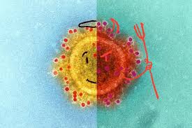 Complete remission means that there are no symptoms and no signs that can be identified to indicate the presence of cancer. Covid 19 And Cancer A Strange Case In Which A Tumor Went Into Remission After An Infection