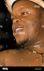 Native shields hi-res stock photography and images