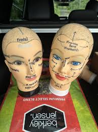 How to make zombie heads from mannequin heads?