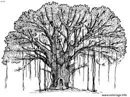 coloriage arbre 164 dessin a imprimer bandeau de dinde