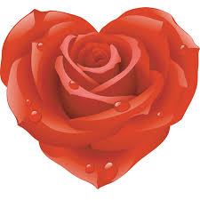 Smileys App With 1000 Smileys For Facebook Whatsapp Or Any Other Messenger Red Roses Blooming Rose Rose