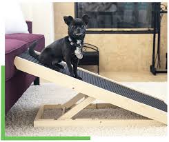 The Pawramp Alpha Paw Dog Ramp Dog Ramp Diy Dog Ramp For Car