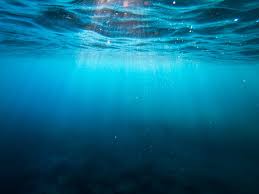 Maybe you would like to learn more about one of these? 500 Deep Sea Pictures Hd Download Free Images On Unsplash