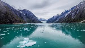 Common sightings include marmots, mountain goats, and bighorn sheep, as well as for more outdoor adventures, read our list of the top things to do in glacier national park. Glacier Bay National Park In Alaska Ultimate Planning Guide