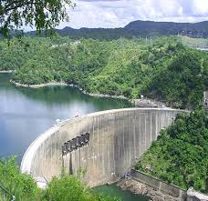 Image result for Adenia karibaensis