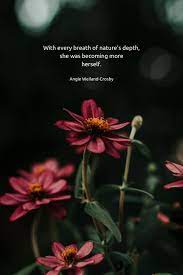 Jun 29, 2021 · think about poet william blake's lines, written in the early 1800s: Nature Quotes For The Wandering Soul Nature Quotes Beautiful Nature Photography Quotes Flower Quotes Inspirational