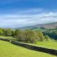 Black Mountains Ultra 50 mi, 32 mi, Marathon  event image