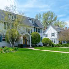 257 ryegrass seed products are offered for sale by suppliers on alibaba.com, of which forage seeds accounts for 18%, flower bulbs, seeds & seedlings accounts for 1%, and seeders & transplanters accounts for 1%. Osp Rye Grass Seed Perennial Ryegrass Seed Blend