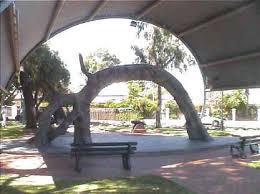 The Old Gum Tree At Glenelg North South Australia South Australia Australia Tourism Australia Living