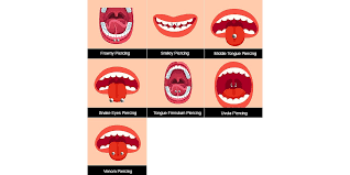 Turning your tongue into a snake may sound awesome to some of us, but not everyone's a fan. Tongue Piercing The Complete Guide The Inspo Spot