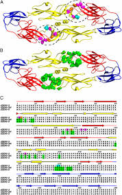 Este aplicativo é bem informativo, foi desenvolvido para pessoas que ainda tem dúvidas sobre a dengue, como prevenir, como proceder caso você seja contaminado pelo vírus. Dengue Virus Envelope Protein Domain I Ii Hinge Determines Long Lived Serotype Specific Dengue Immunity Pnas