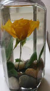 Alive, or dried, the hydrangea makes an attractive and romantic cut the hydrangea at the height of their bloom. Ttm A Rose For My So Preserved In Glycerin Flowers