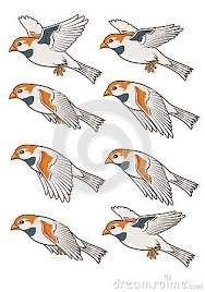 Blue Jay Bird Flying Sequence Flying Bird Drawing Birds Flying Cartoon Birds